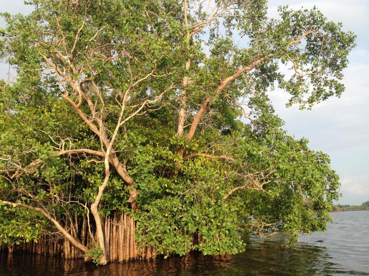 Lake Life Villa Ambalangoda  Exterior photo